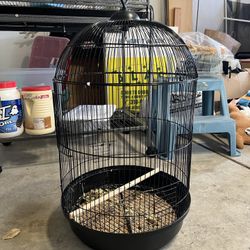 Bird Cage