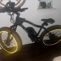 Electric bike