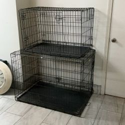 Dog Cages