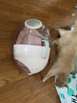 Pet Cat Capsule Carry Bag