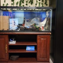 40-50 Gallon Tank/Aquarium 