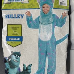 Child Size Toddler 3-4 Yo Disney Monster’s Inc Sulley Costume Just $5