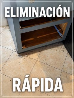 Pepematafumitodo Garantizado