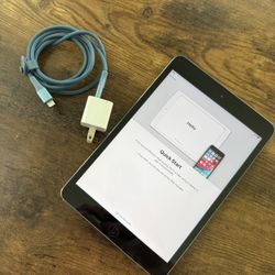 📱 Apple iPad Mini 2 (WiFi) + Charger