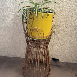 Beautiful Plant In Yellow Ceramic Pot And Wicker Stand 