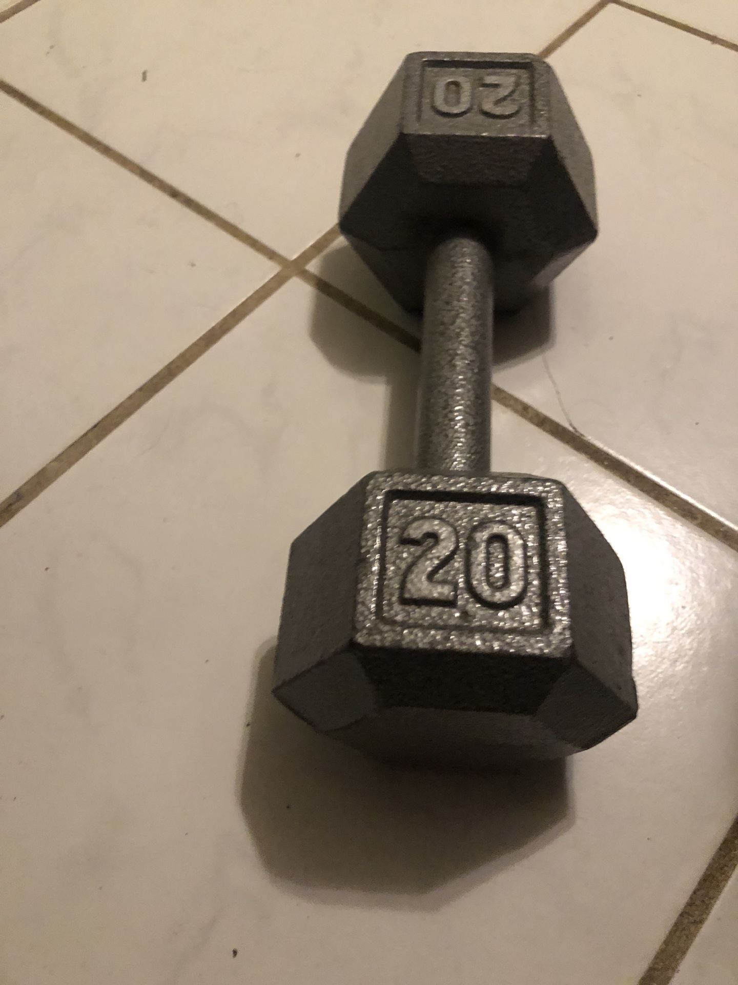 20lb Dumbbell 