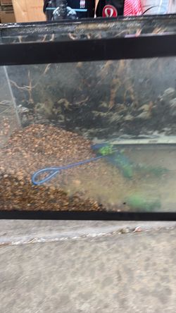 Aquarium Fish Tank with cover