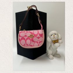 Mini Coach Bag 