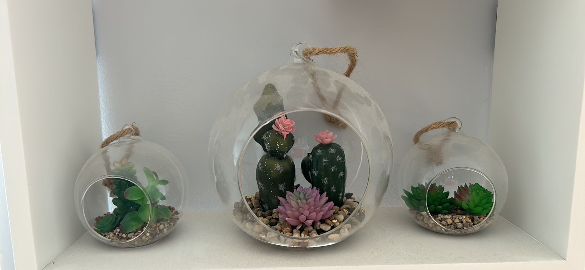 Hanging Glass Globes Succulent 