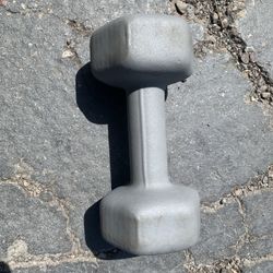 One Neoprene 10 Lb Dumbbell 10 Pound Dumb Bells
