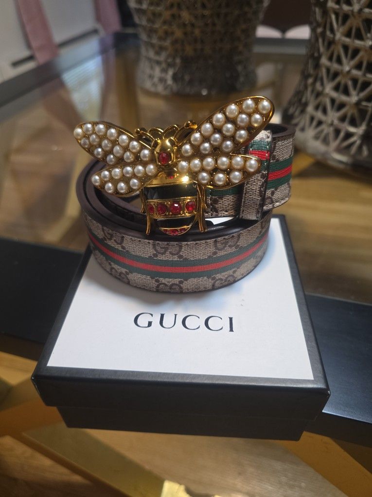New Belt For Women