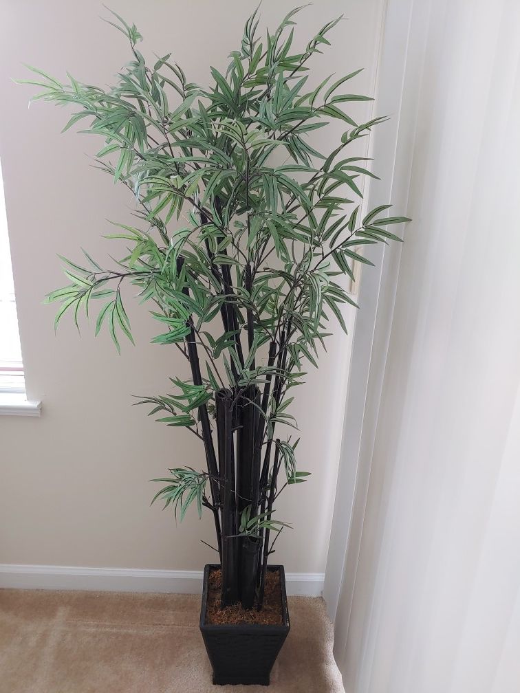 Bamboo tree decorative potted houseplant