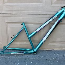 Mountain Bike Frame