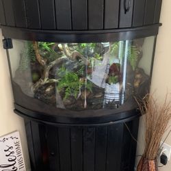Reptile Habitat 