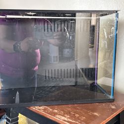 10 Gallons Fish Tank