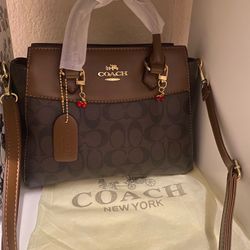 Brown Bag 