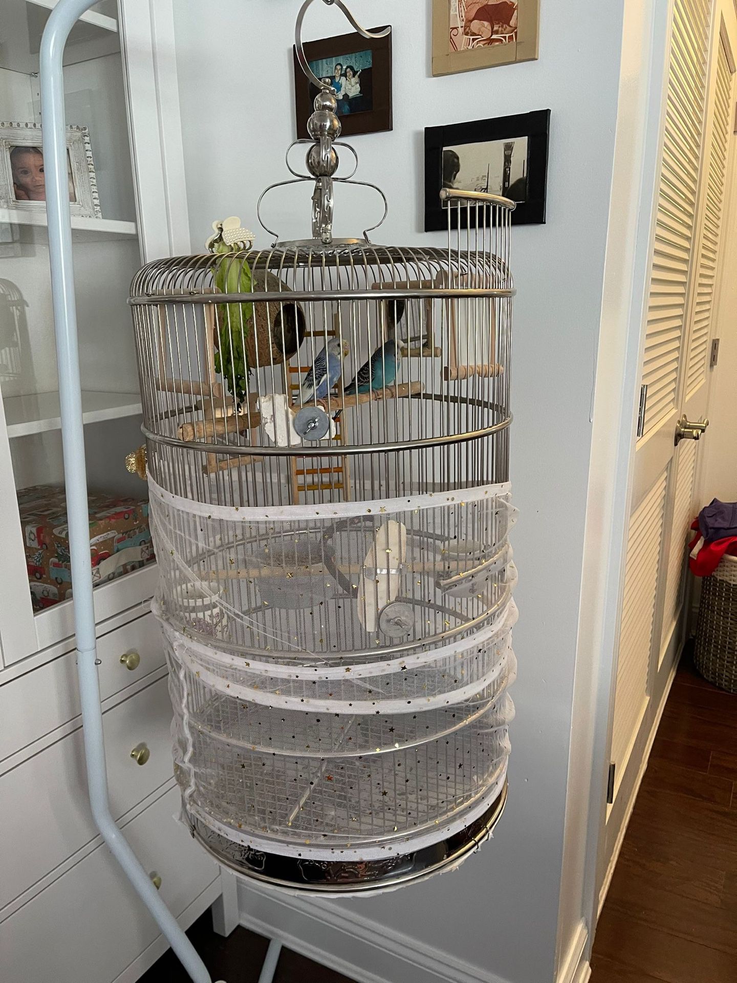 Bird Cage Supplies 