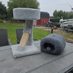 Cat Stuff 