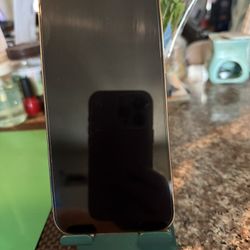 Iphone 12 Max Pro