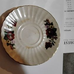 Fine Bone China Sauer