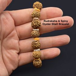 Rudraksha & Spiny Oyster Shell Genuine Handmade stretchy bracelet