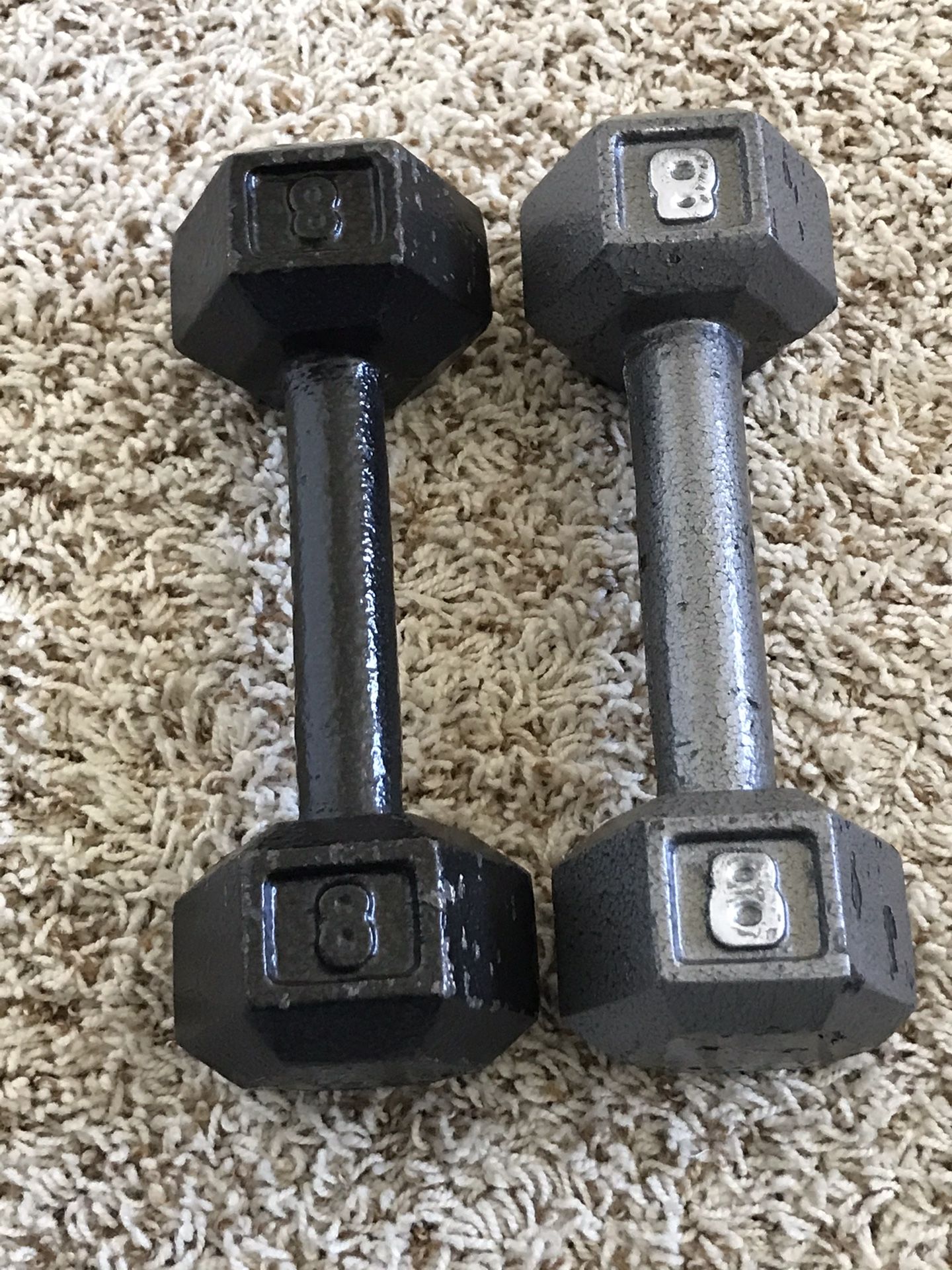 Two 8 pound dumbbells