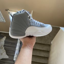 Jordan 12 “stealth”