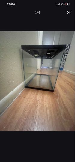 10 gal tank