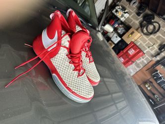 Nike AlphaDunk TB Size 13.5