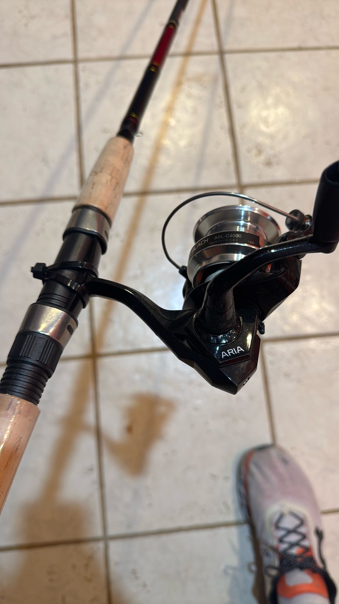 Fishing Pole 