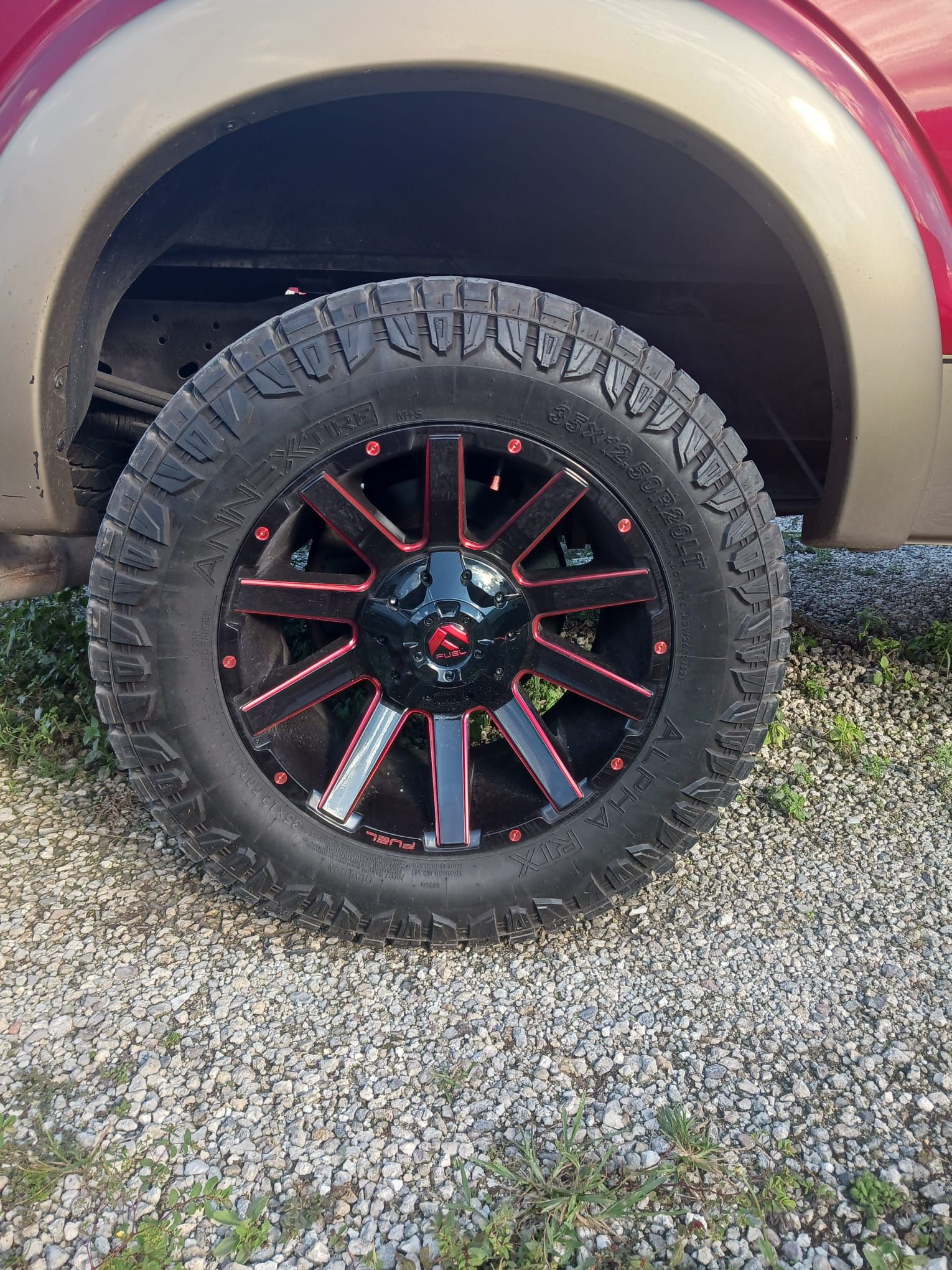 Rines F250 8 Huevos