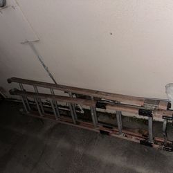 16ft Collapsable Ladder