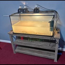 50 Gallon Fish Tank With Stand