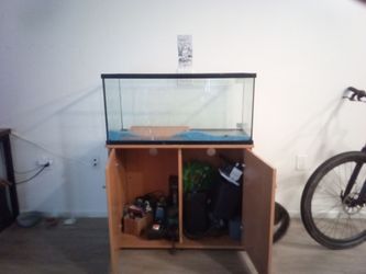 Aquarium