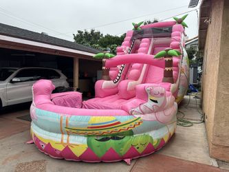 pink flamingo water slide