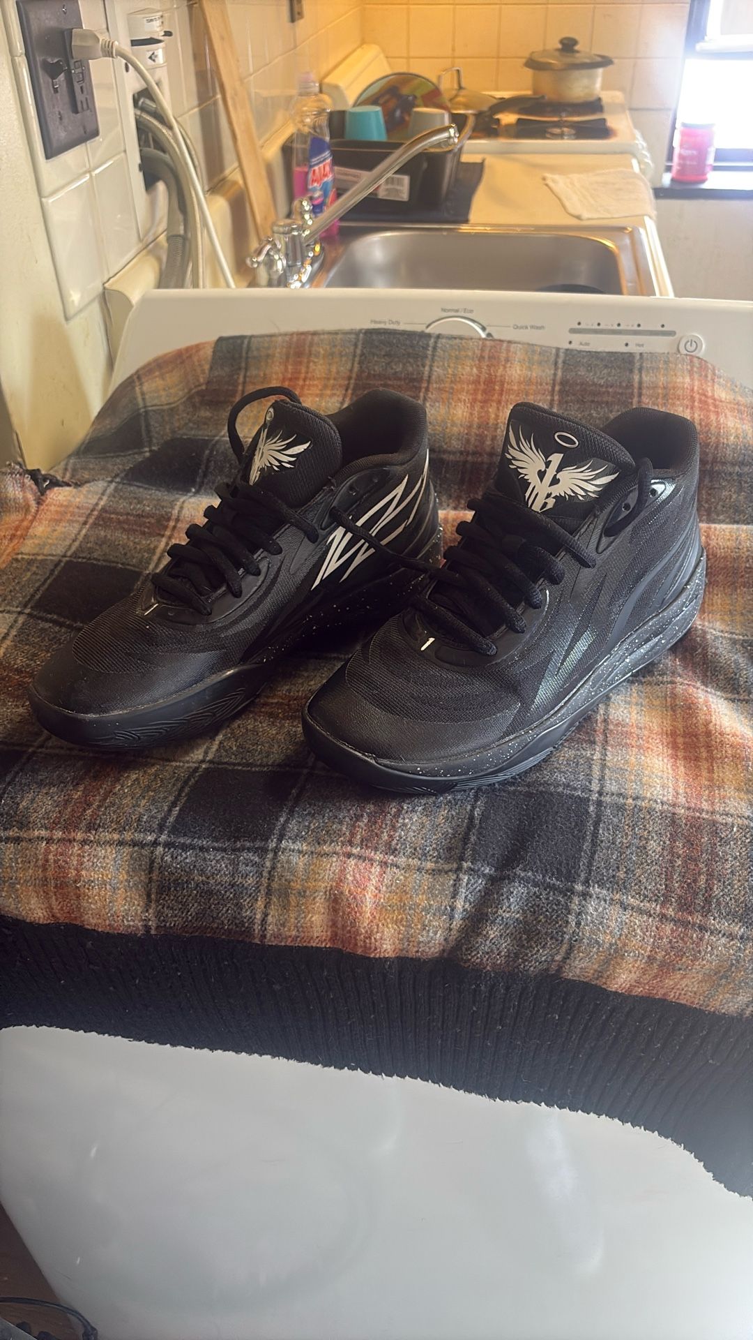 Pumas