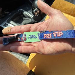 Beyond Wonderland FRIDAY VIP wristband