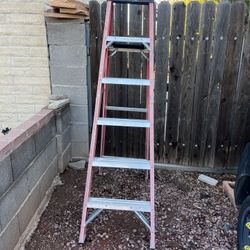 Werner 6 Foot Step Ladder