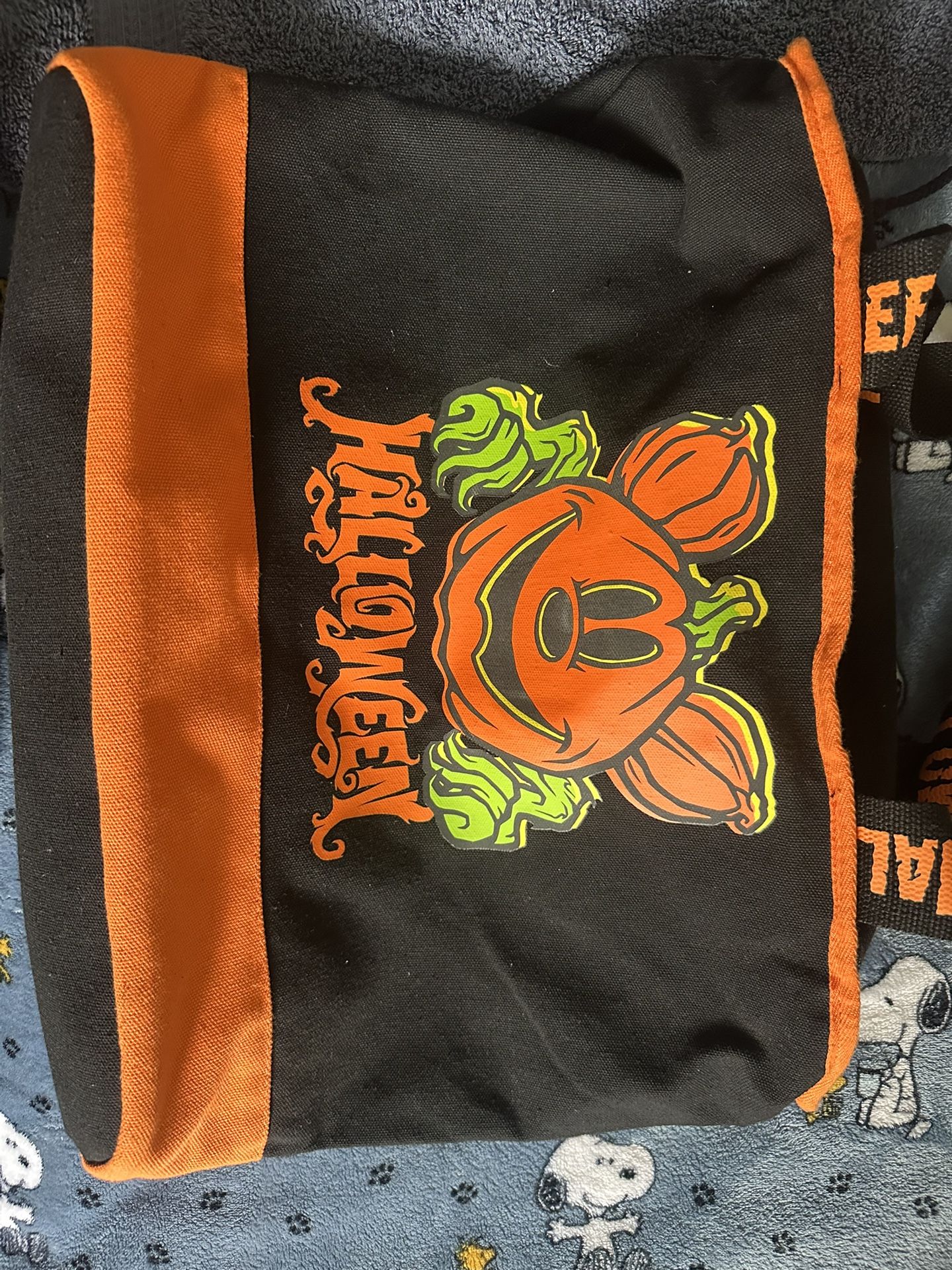 Disney Halloween Bag 2024