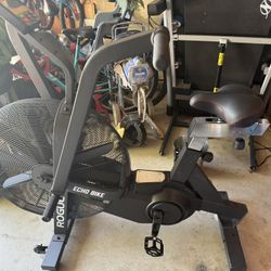 Rogue Echo Bike New