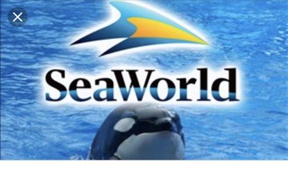 4 pases se vencen el 31 de este mes 55 cada uno