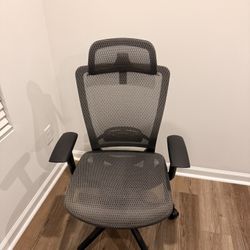 Ergonomic Mesh Office Chair w/ Lumbar Support & Adjustable Armrests