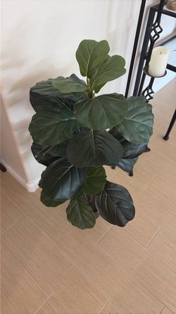 Faux Fiddle Leaf Fig House Plant