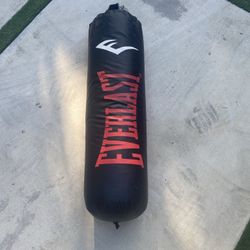 Everlast Punching Bag 