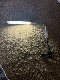 MOVE OUT SALE: Clip desk lamp