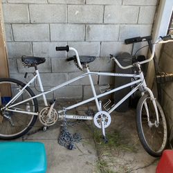 2 Seat Multi Speed Bike