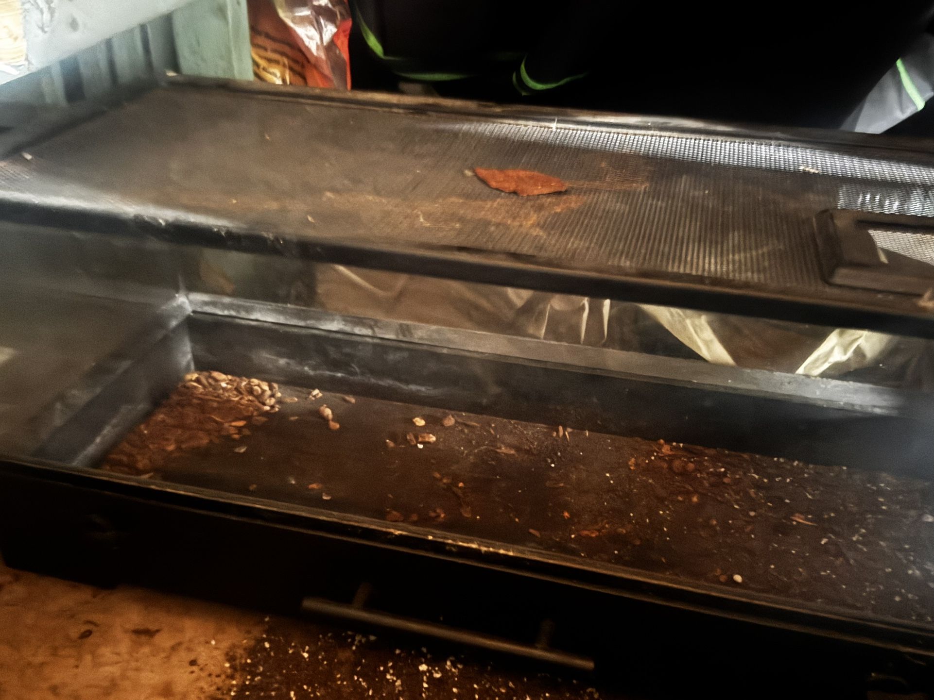 25gal Reptile Tank