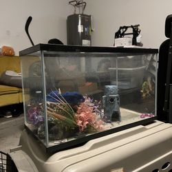 Fish Tank Aquarium 