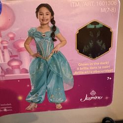 Princess Jasmine Costume 