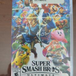 Nintendo Super Smash Game Case